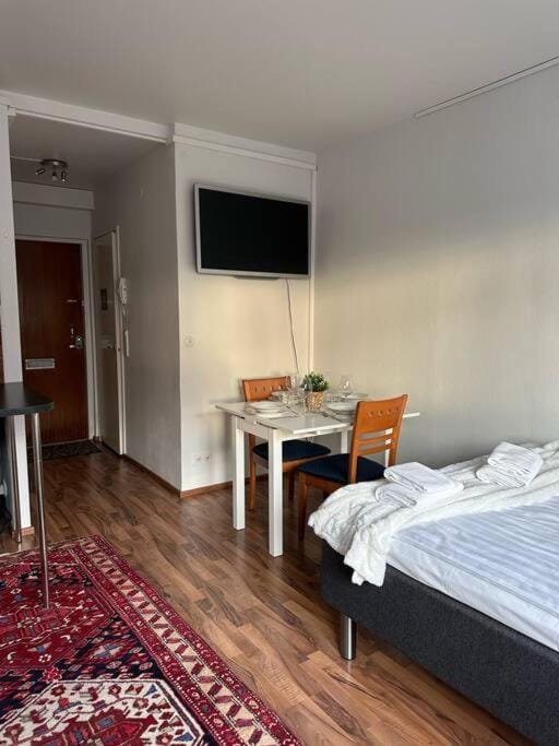 Arctic Cozy Studio in the City Apartment in Rovaniemi