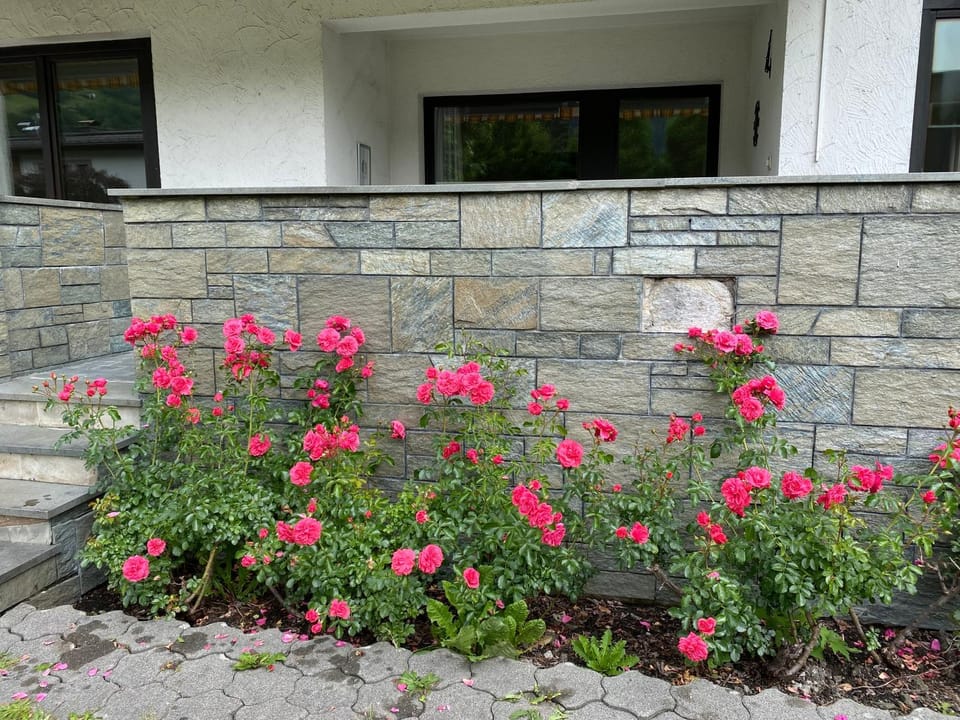 Property building, Garden, Garden view