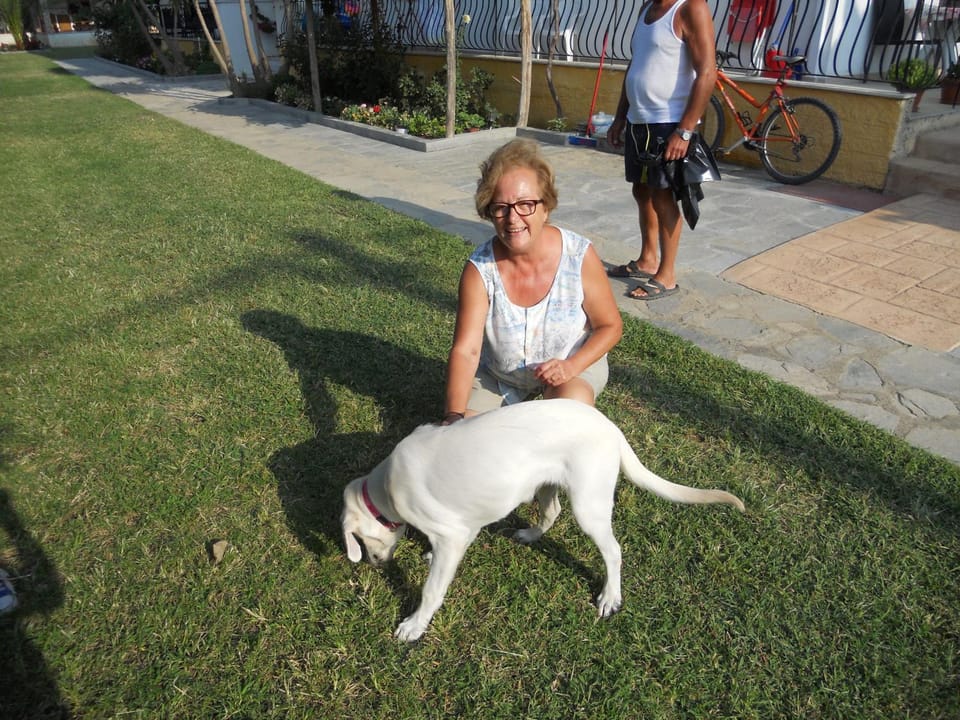 Staff, Natural landscape, On site, Pets, Family