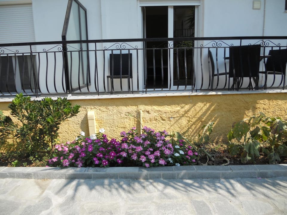 Natural landscape, Garden, On site