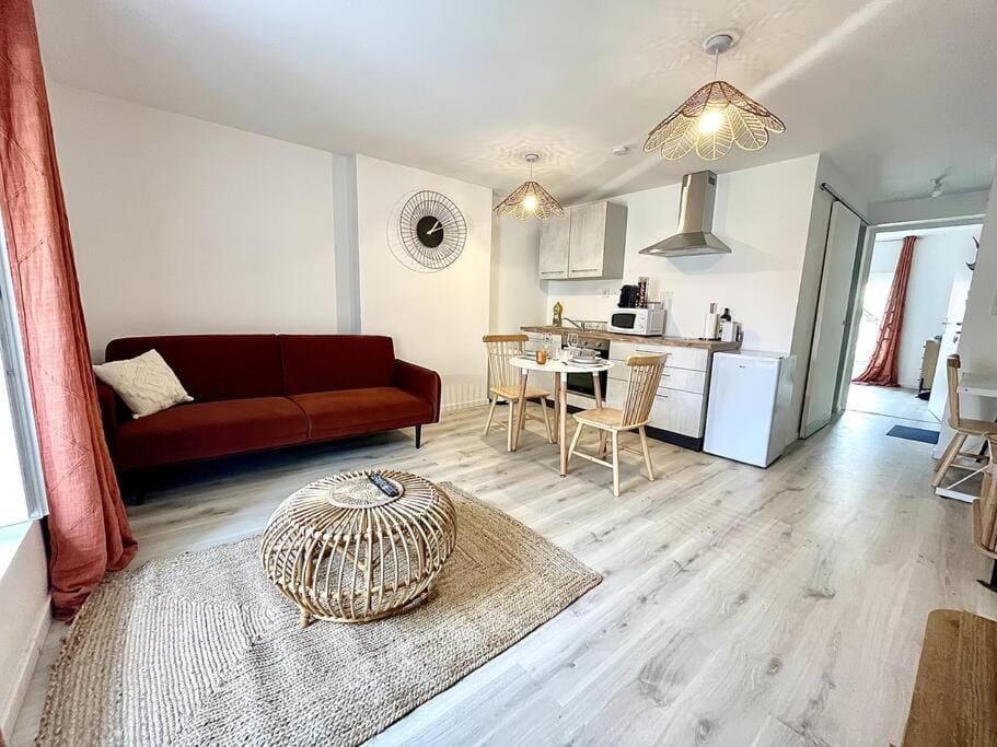 L'Ambre rouge - Romans Apartment in Provence