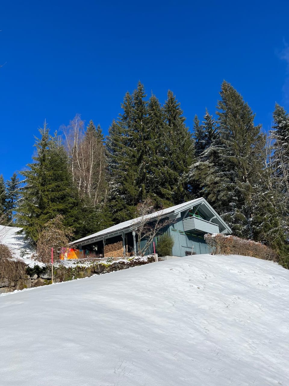 Property building, Natural landscape, Winter