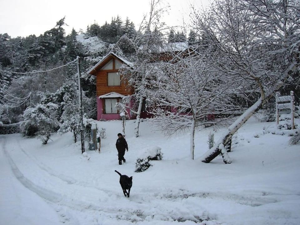 Verde Sol House in Neuquén Province, Argentina