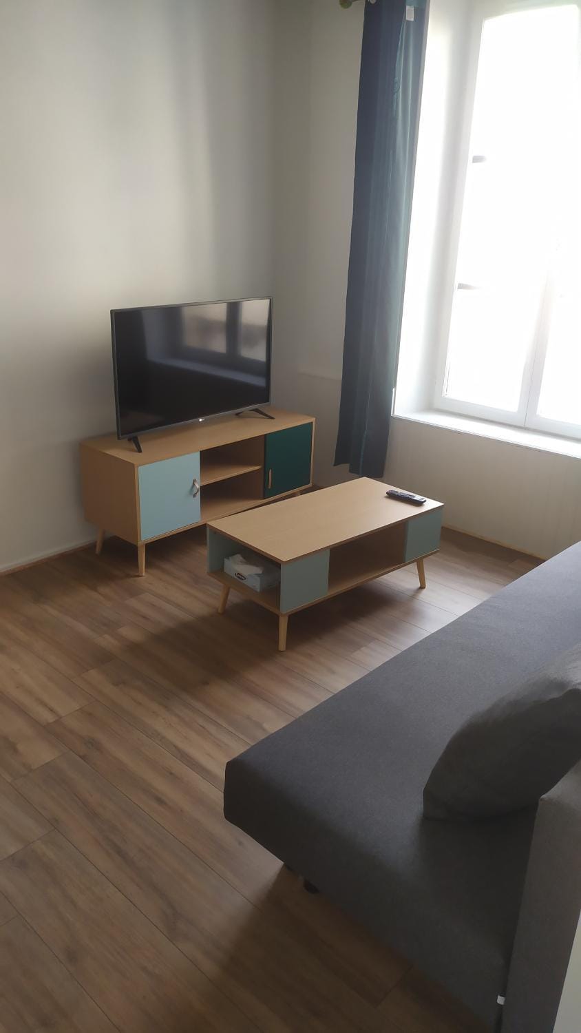 Plein centre Apartment in Nancy