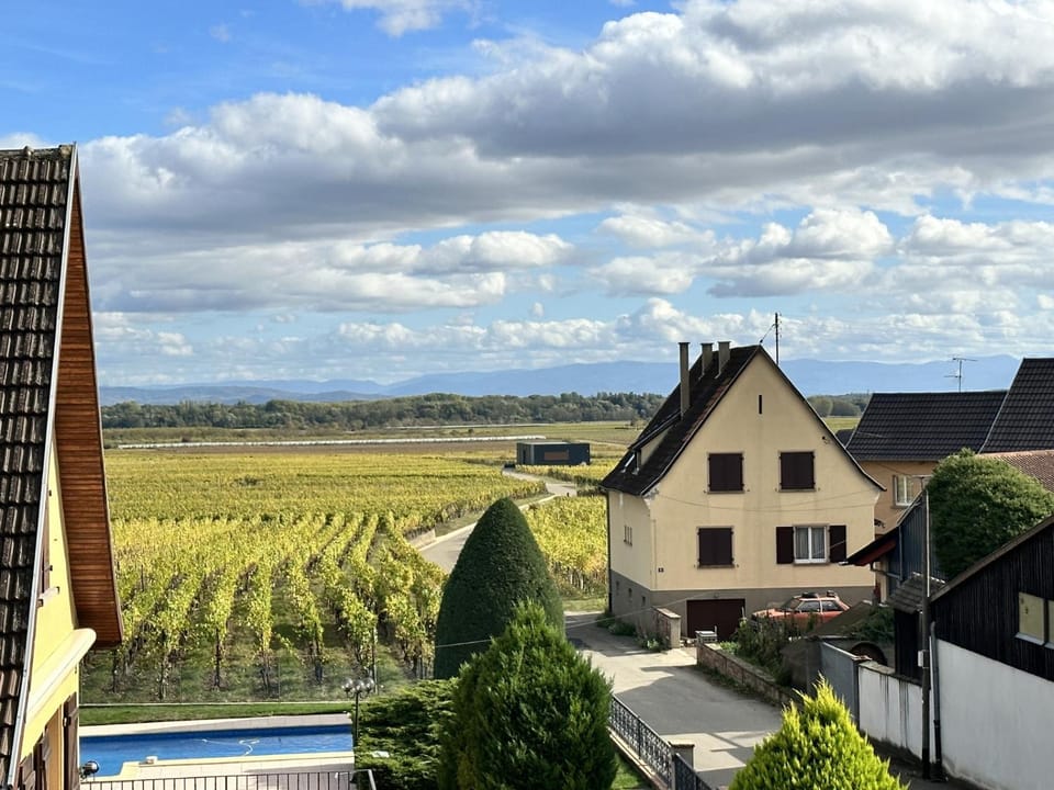 Gîte Le Manala Apartment in Colmar