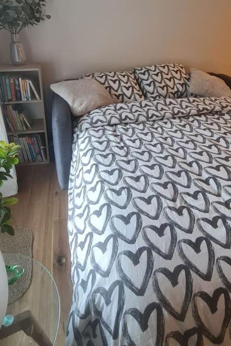 Appartement rénové avec charme Apartment in Canton of Vaud