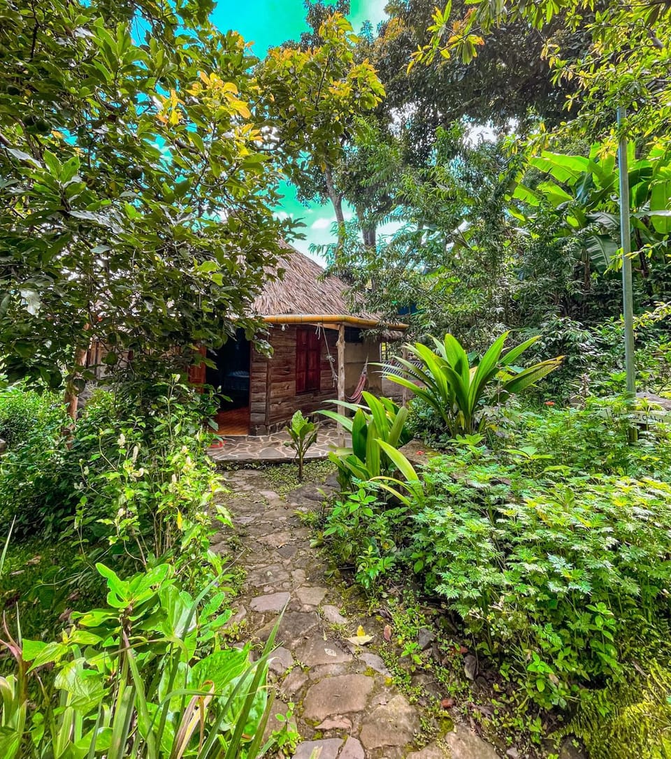 Property building, Garden