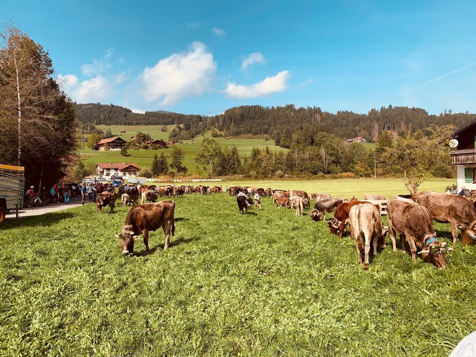 Seeperle Souterrain Apartment in Sonthofen