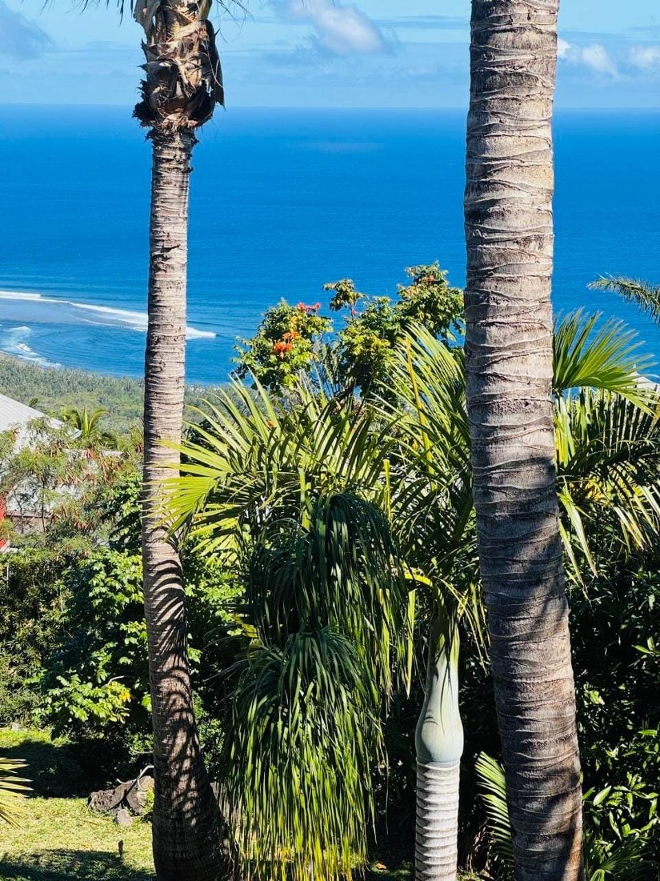 Sea view