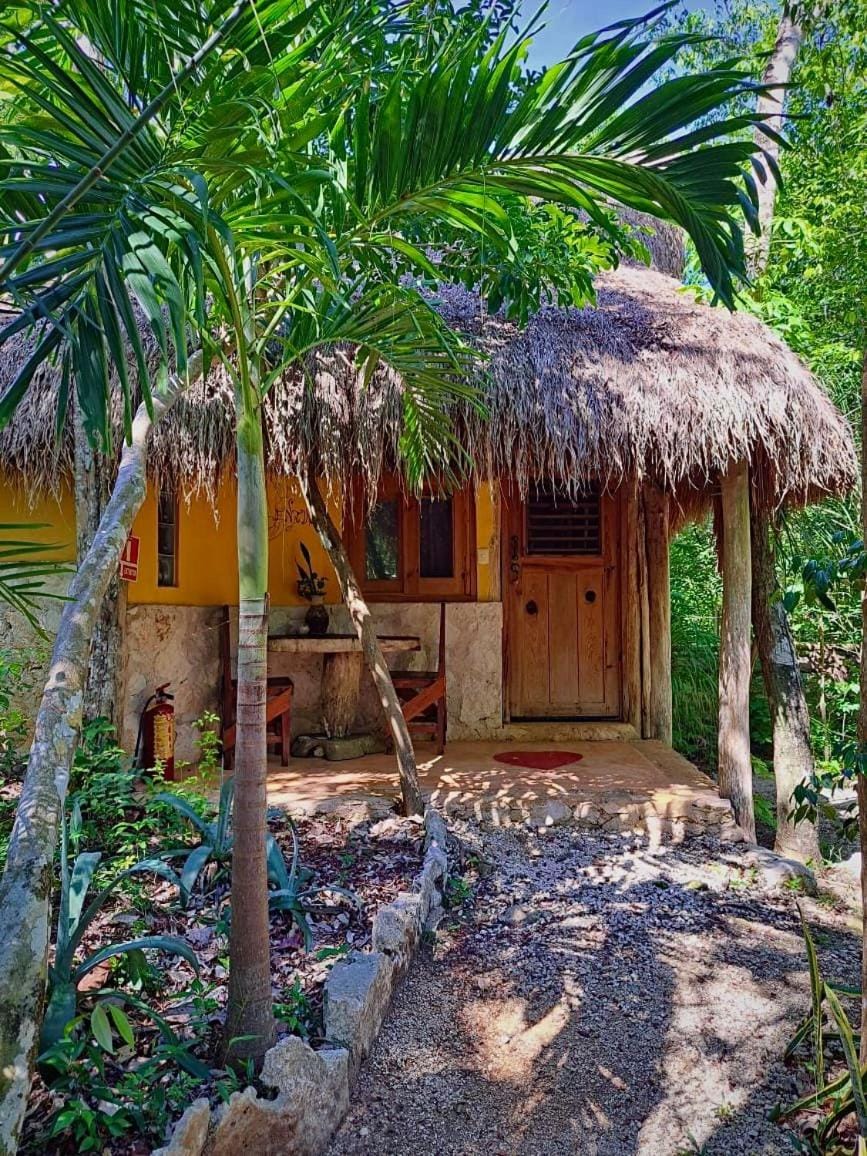 Casa Mango Bed and Breakfast in State of Quintana Roo