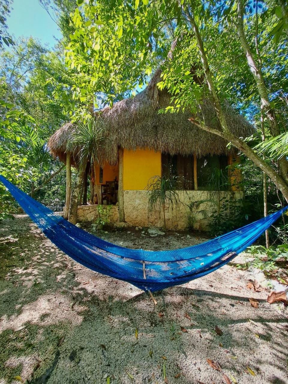 Casa Mango Bed and Breakfast in State of Quintana Roo