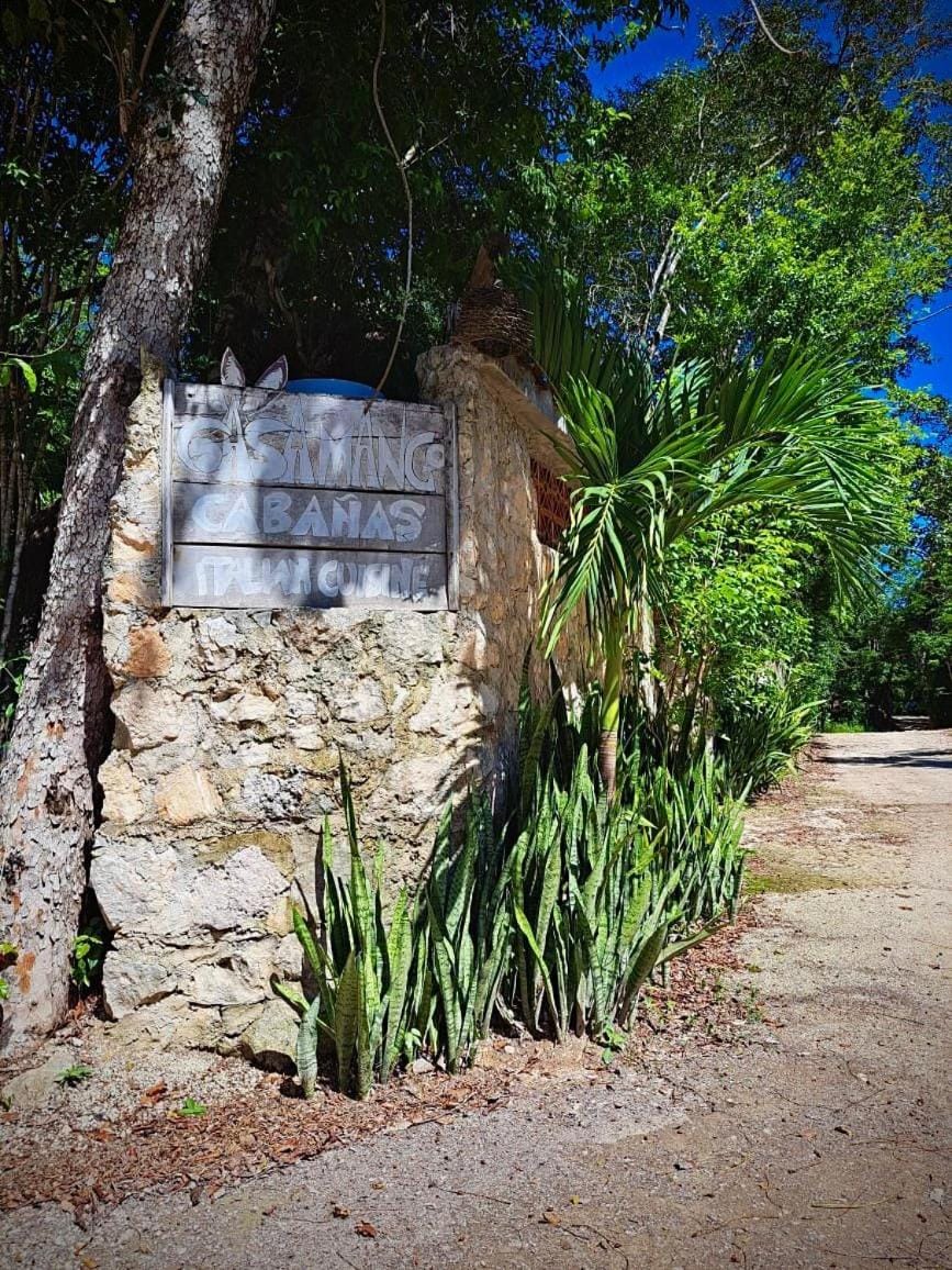 Casa Mango Bed and Breakfast in State of Quintana Roo