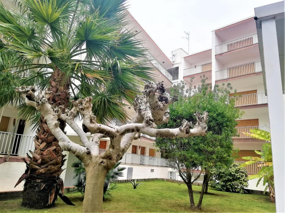Perfecta ubicación a 80m de la playa, AC, WiFi, terraza y parking en Santa Margarita - ES-258-53 Apartment in Roses