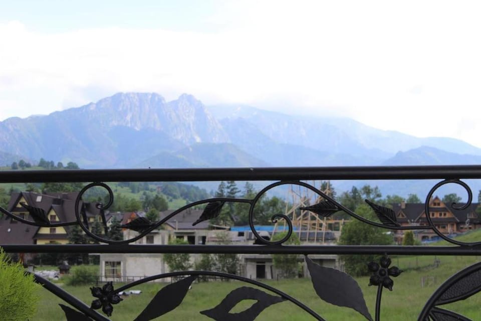 Willa Pod Zielonym Wierchem Vacation rental in Zakopane