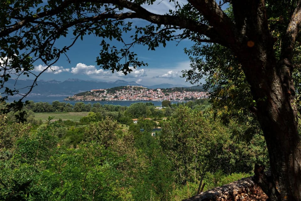 View (from property/room)