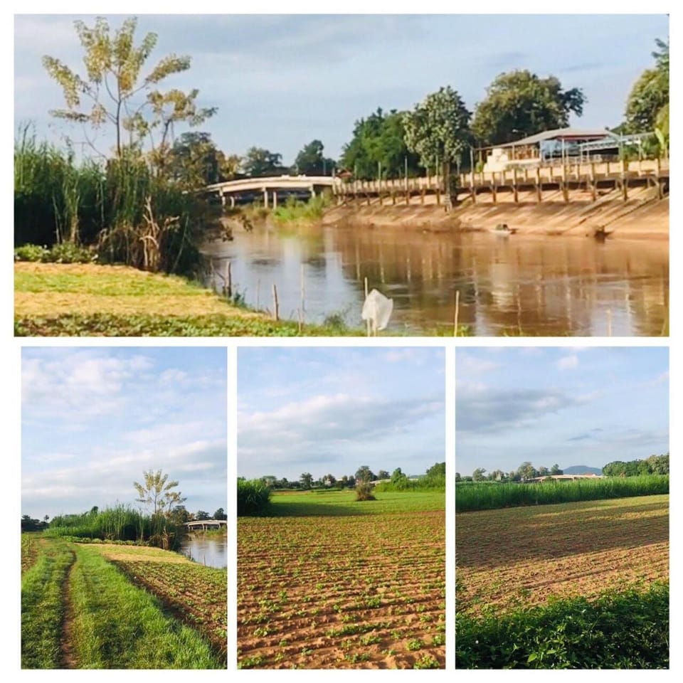 Natural landscape, River view