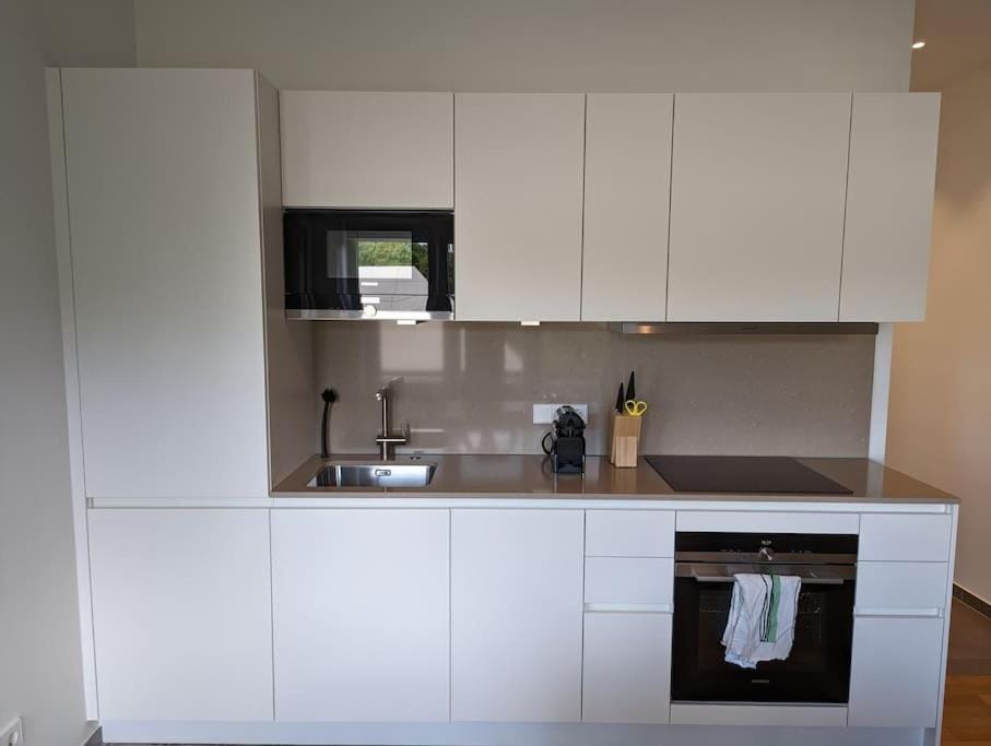 Refurbished 1BR Apartment in Limpertsberg Apartment in Luxembourg