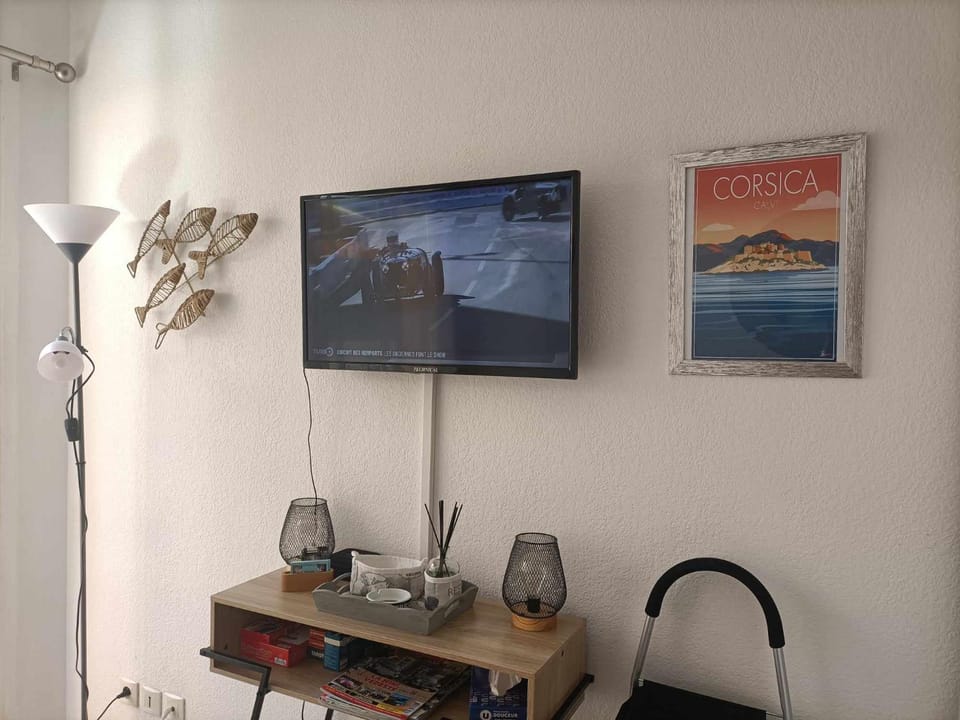 TV and multimedia