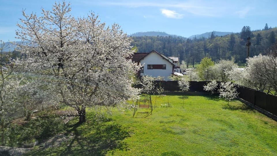 Spring, Natural landscape, Garden, Garden, Garden view, Mountain view