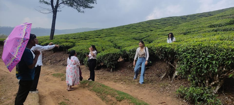 People, Natural landscape, group of guests