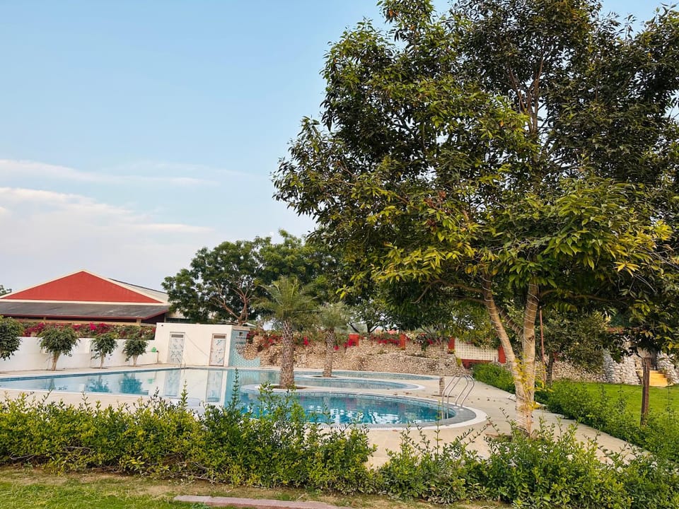 Swimming pool