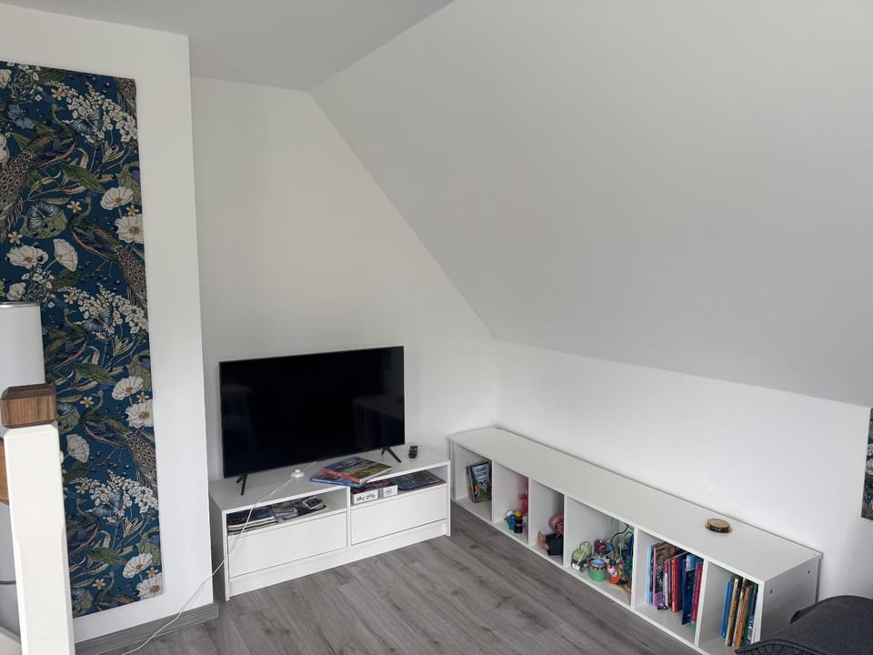 TV and multimedia