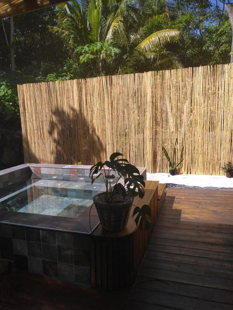 La petite case jaune , jaccuzi pierre à 3 min à pied du bassin Manapany, vue mer House in Réunion