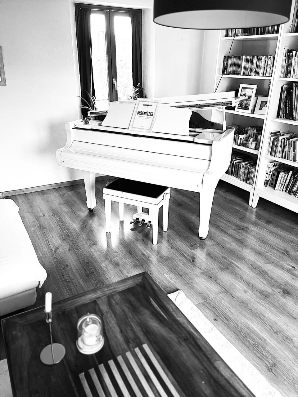 Library, Living room