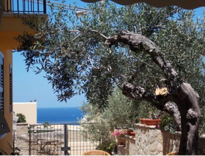 Patio, Sea view
