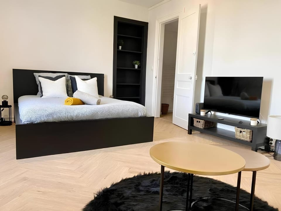 Bed, TV and multimedia, Photo of the whole room, heating, internet