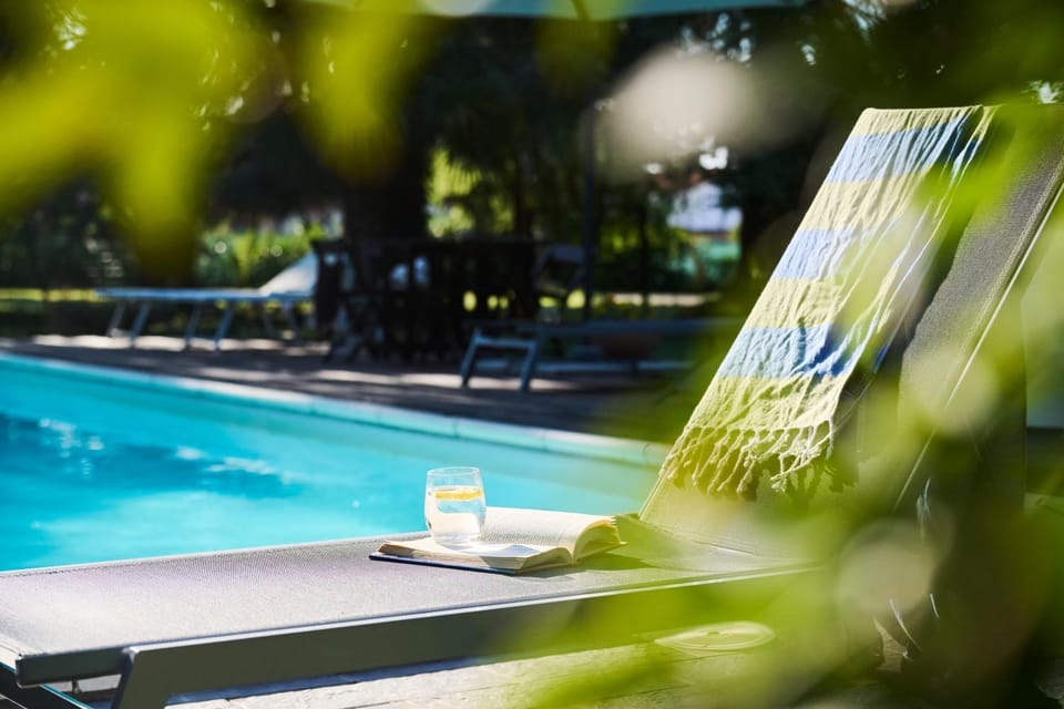 Garden, Pool view, Swimming pool, sunbed
