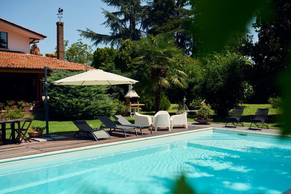 Garden, Garden view, Pool view, Swimming pool, Swimming pool, sunbed