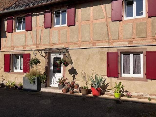Chez Alexandra Apartment in Grand Est