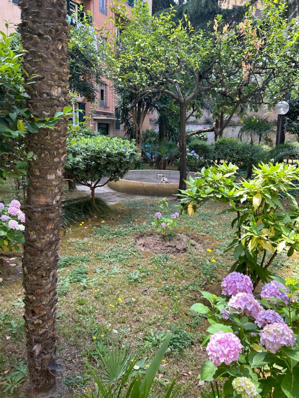 Spring, Day, Garden view