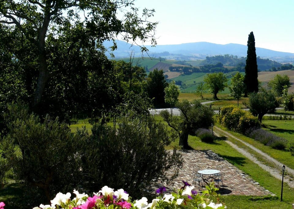 Garden view