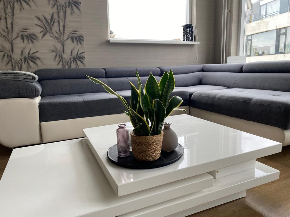 Katwijk Center, 1 min away from the beach! Apartment in Katwijk aan Zee