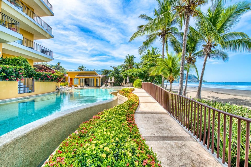 Day, Garden, View (from property/room), Beach, Beach, Pool view, Sea view, Swimming pool, Swimming pool, locker, sunbed