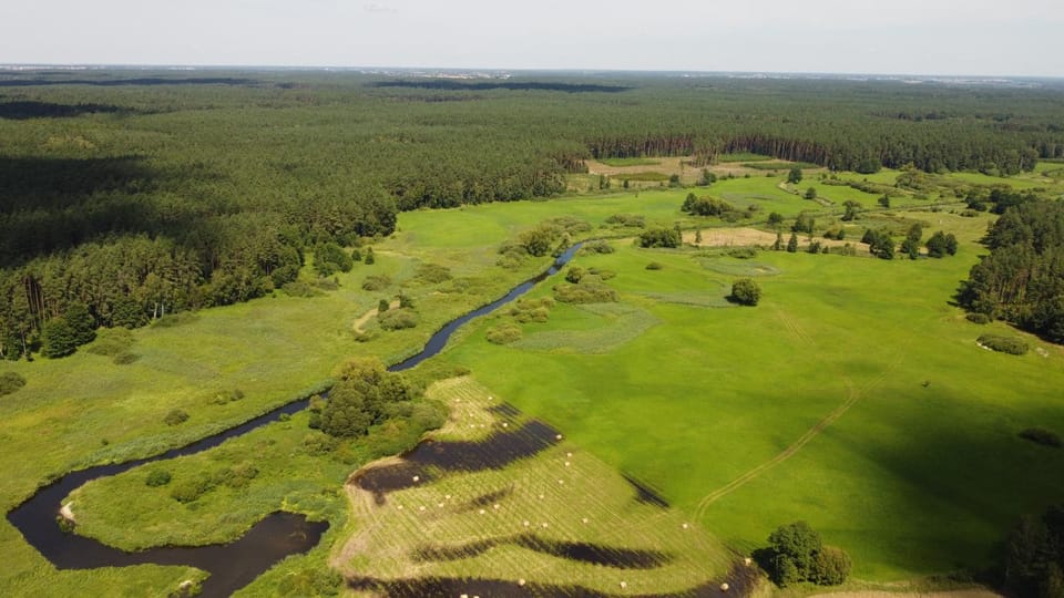 Dworek Willa Biała Góra Villa in Poland