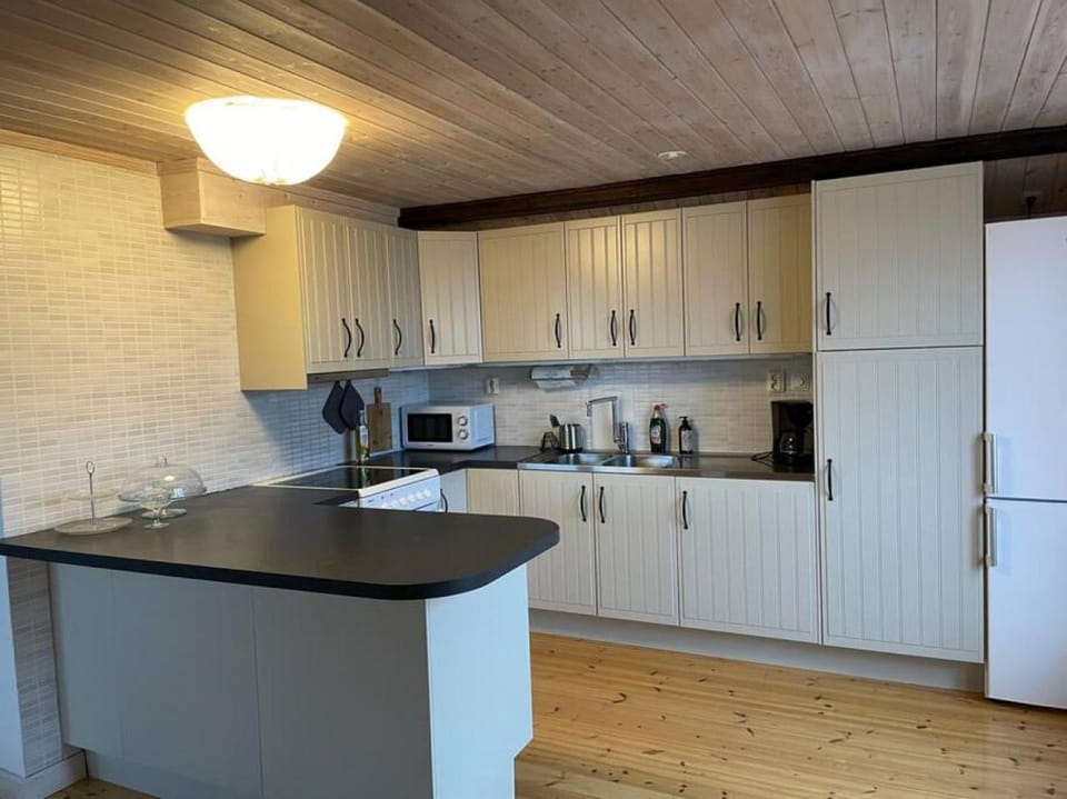 Kitchen or kitchenette, dishwasher, minibar, pet friendly, stove