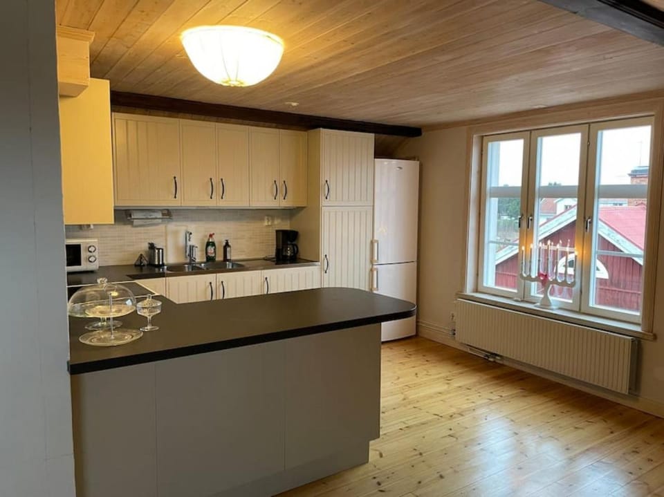 Kitchen or kitchenette, dishwasher, minibar, pet friendly, stove
