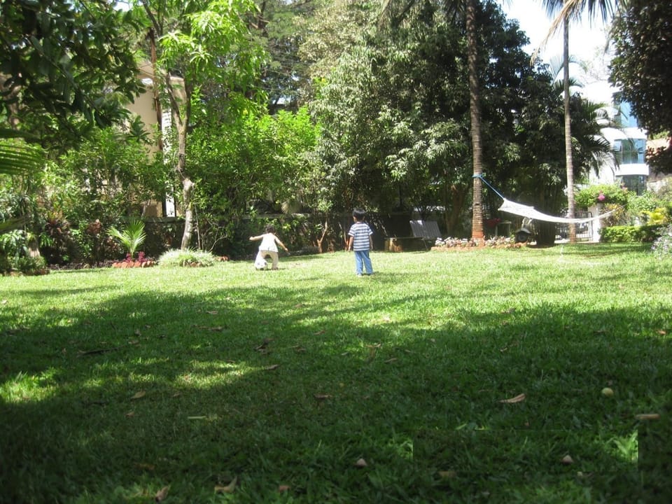Area and facilities