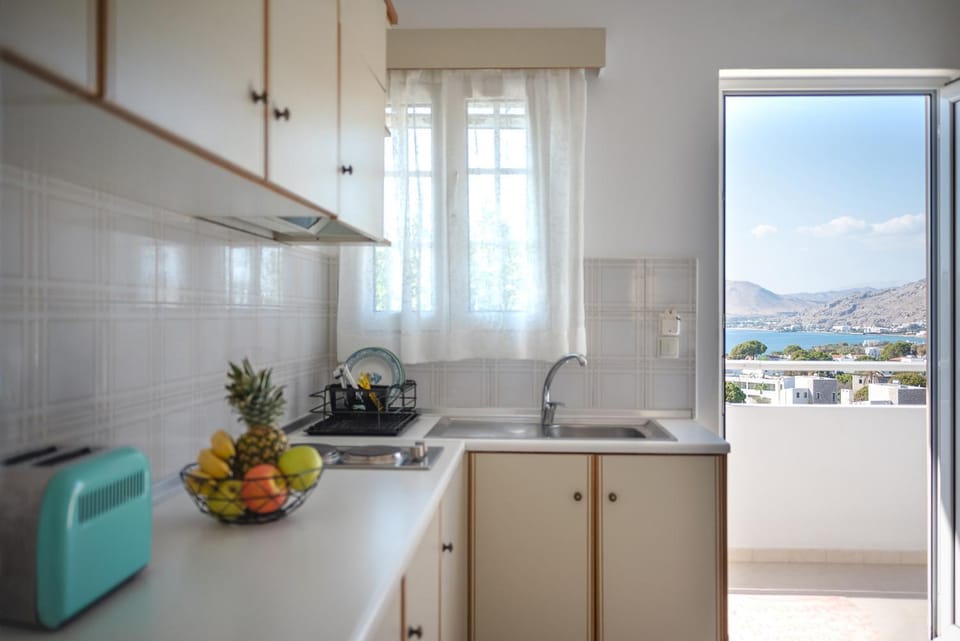 Kitchen or kitchenette, kitchen
