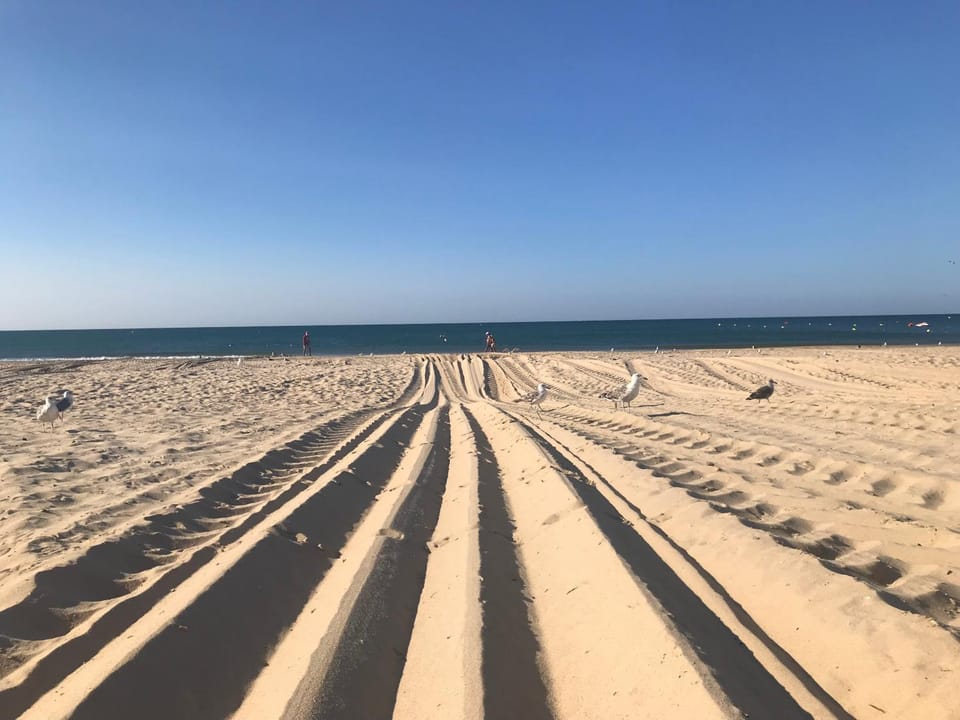 Beach