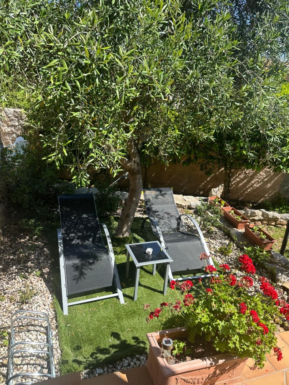 Day, Garden, Garden view, sunbed