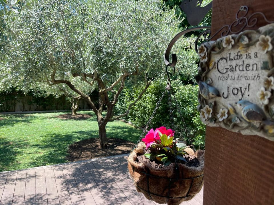 Apartment Green Apartment in Zadar