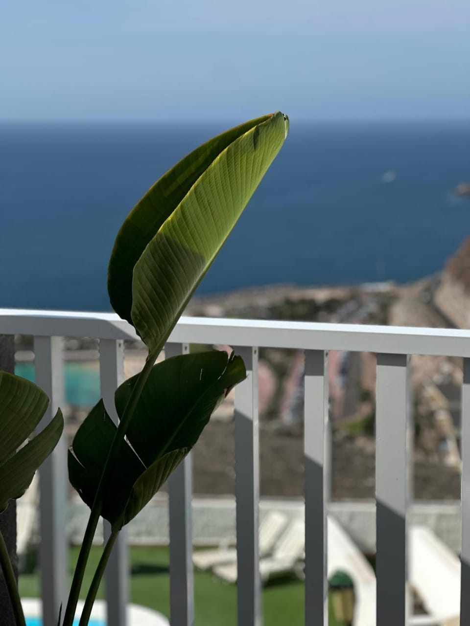 Natural landscape, Balcony/Terrace, Sea view