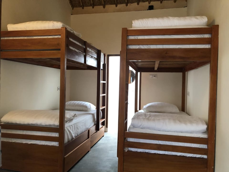 bunk bed
