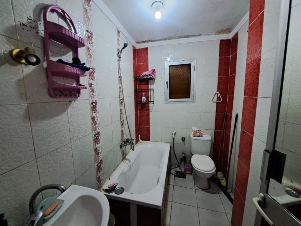 Shower, Toilet, Bathroom, Bath, bidet