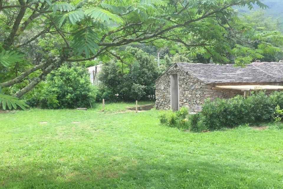 Olivetu House in Corsica