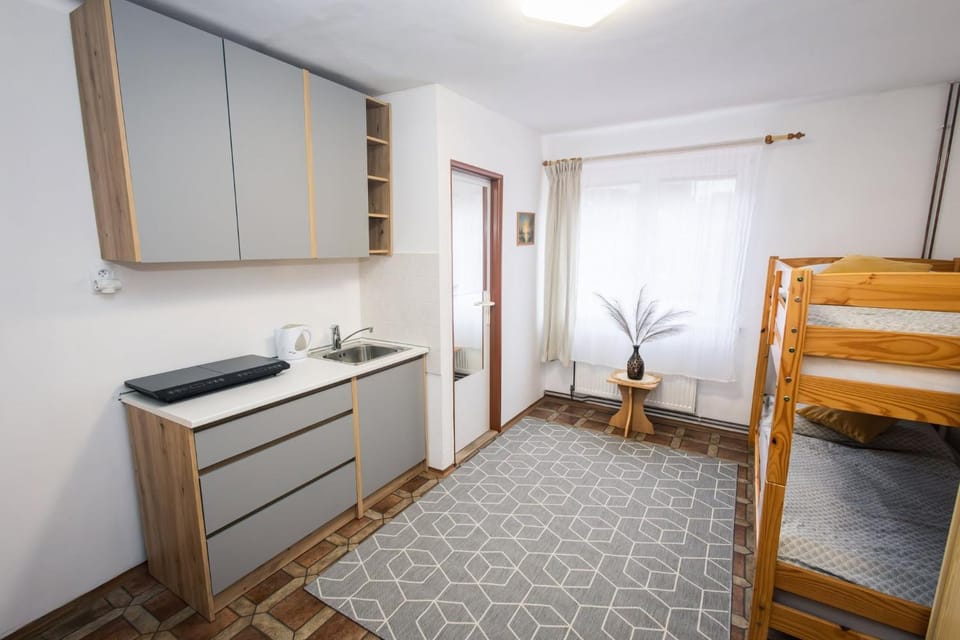 Kitchen or kitchenette, Bedroom, bunk bed, stove